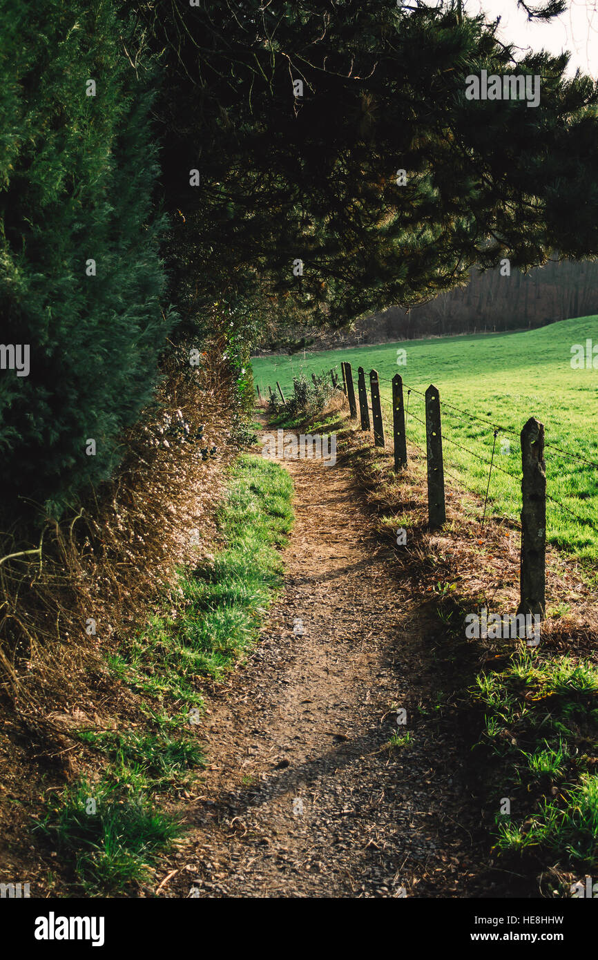 A sandy footpath trail next to a fence in a rural landscape. Stock Photo