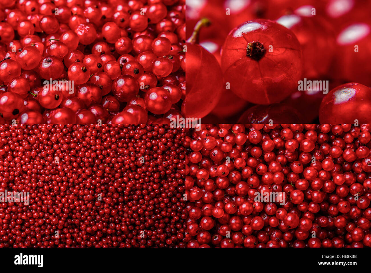 image set of red currant texture in different sizes Stock Photo