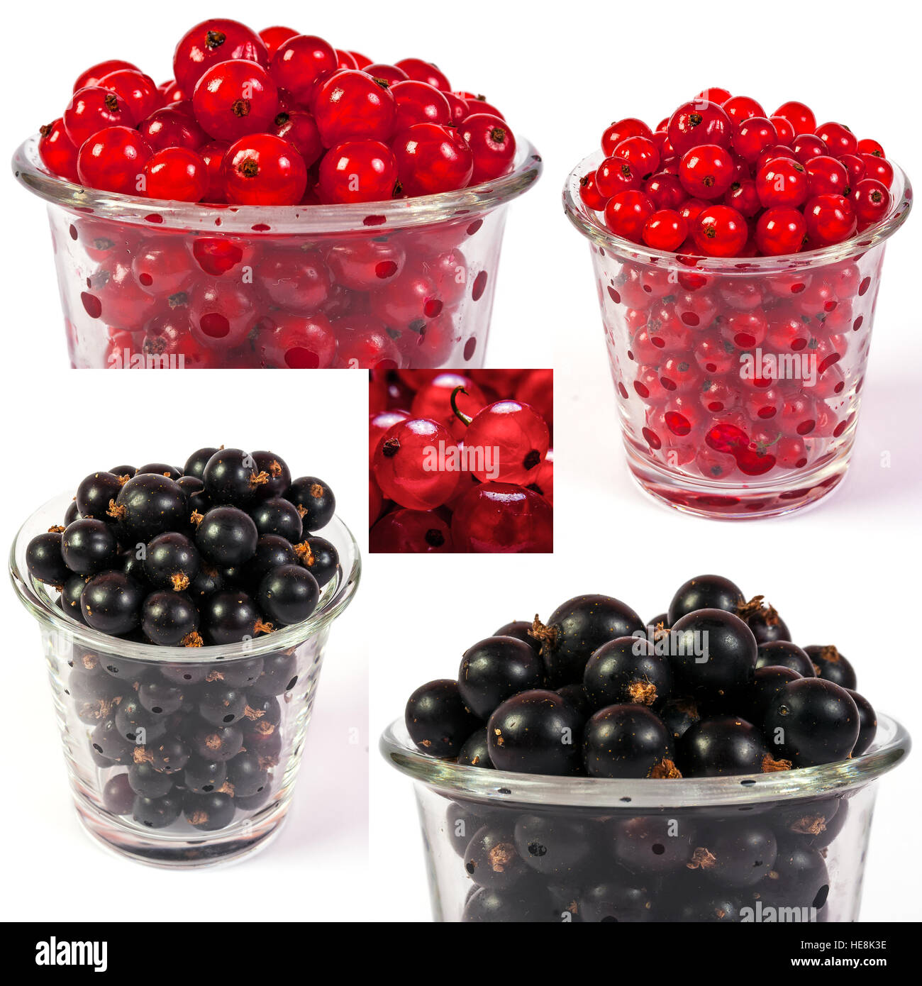 image set of red and black currant in a glass in different sizes Stock Photo