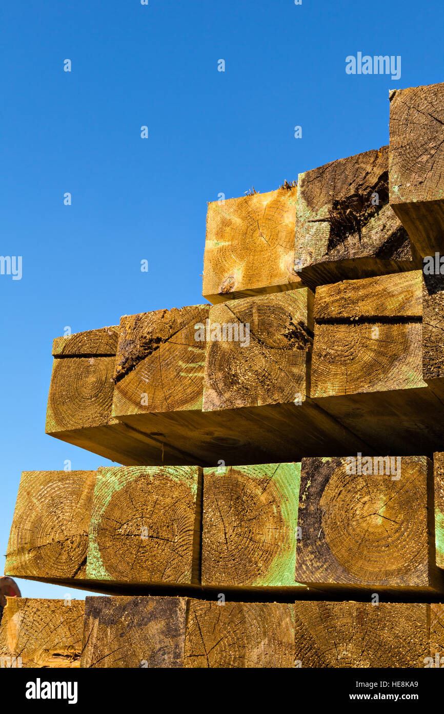 mage of stacked balks in a sawmill Stock Photo