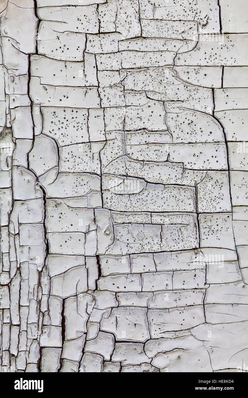 Close up of painted cracked wood texture Stock Photo