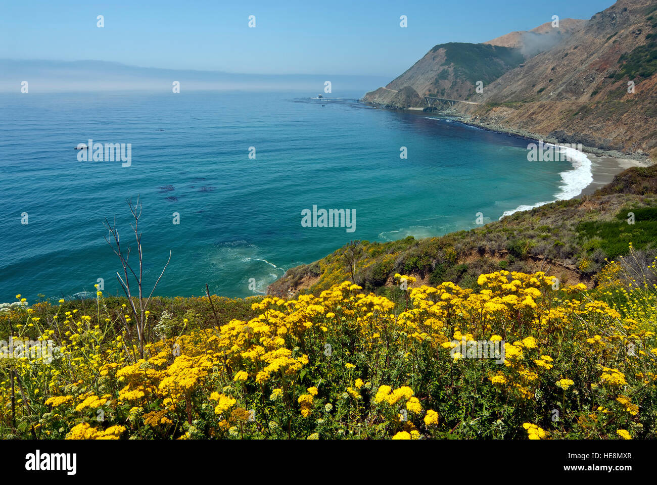 The Pacific coast of California, USA Stock Photo