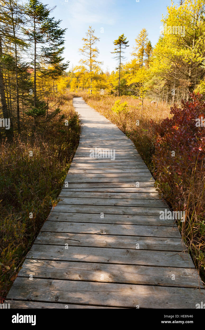 Sifton london ontario hires stock photography and images Alamy