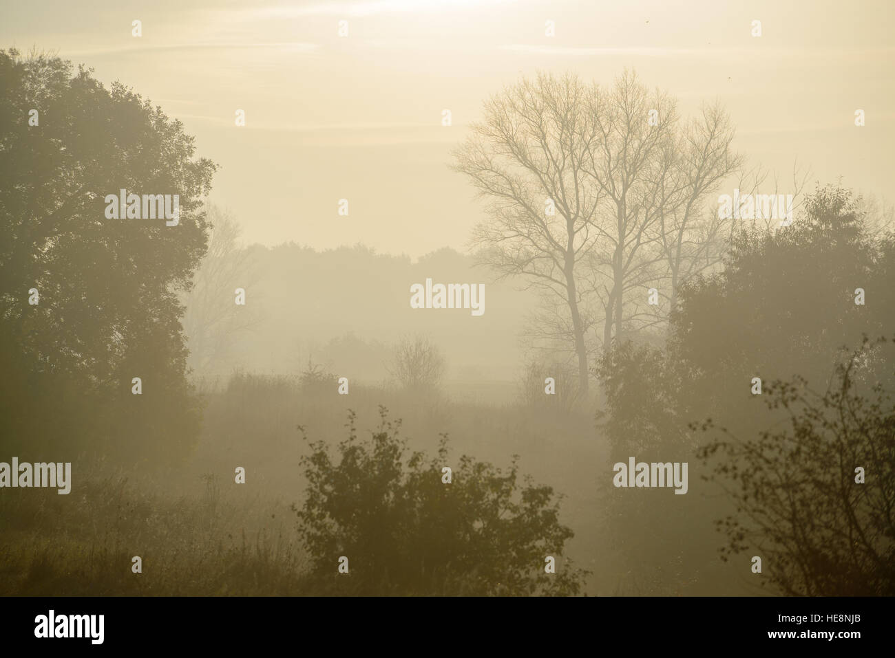 Thick morning fog hides hi-res stock photography and images - Alamy