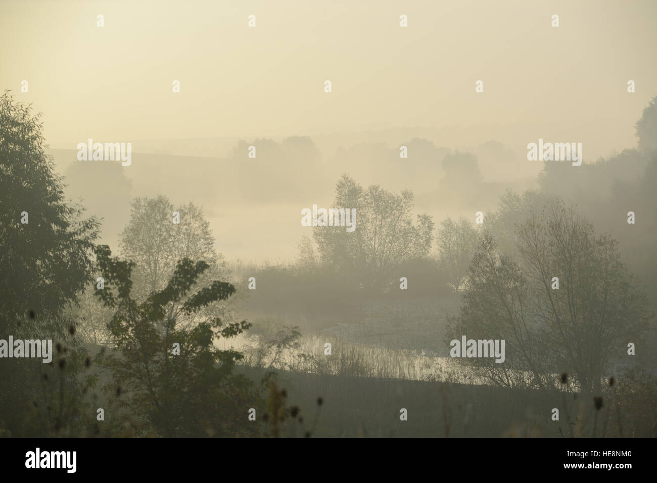 thick morning fog hides the forest in autumn time Stock Photo - Alamy