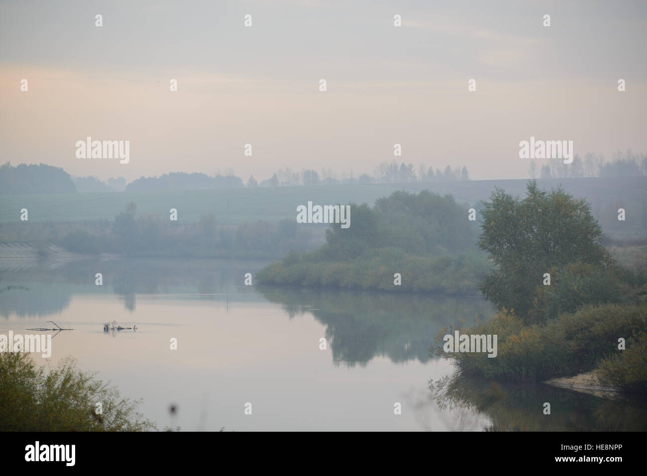 dense morning fog in the summer woods by the pond in summer Stock Photo ...