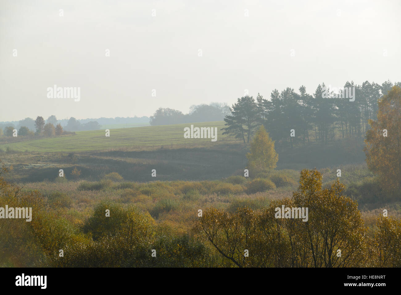 thick morning fog hides the forest in autumn time Stock Photo - Alamy