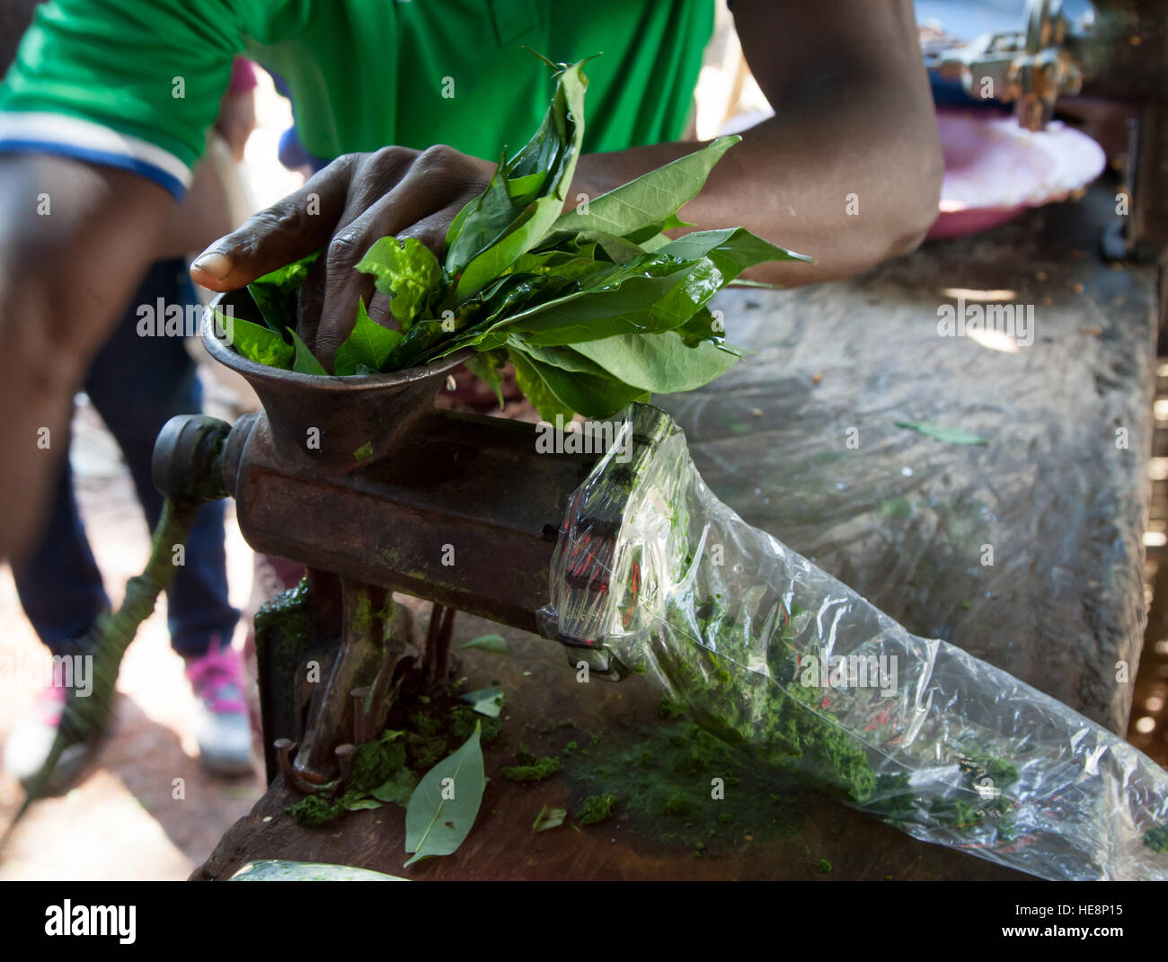 Cassava leafs beeing minced on market in Kabala, Sierra Leone. At every market in Sierra Leone, cassava leaves are freshly put through the grinder and sold in plastic bags Stock Photo
