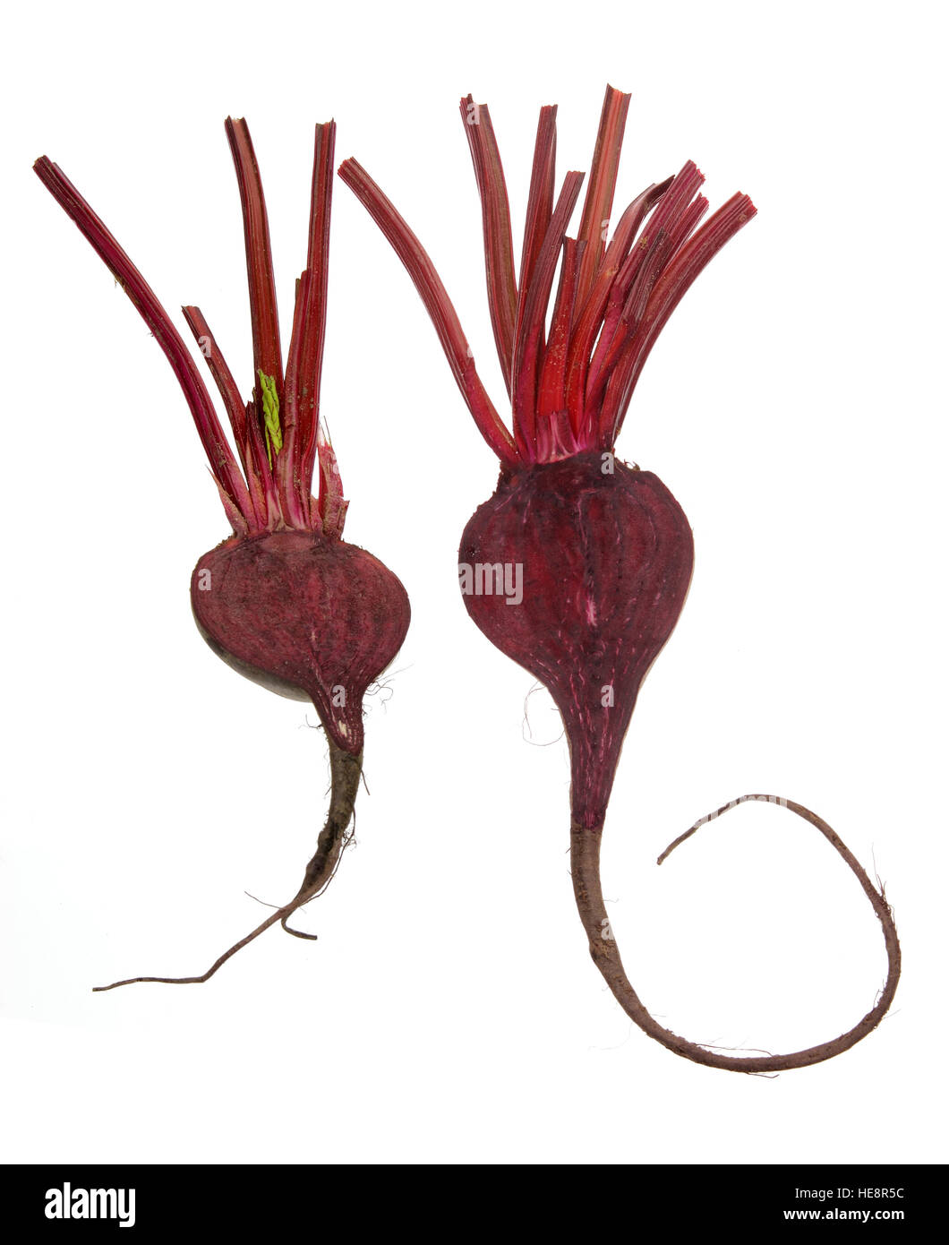 Beetroot Stock Photo Alamy