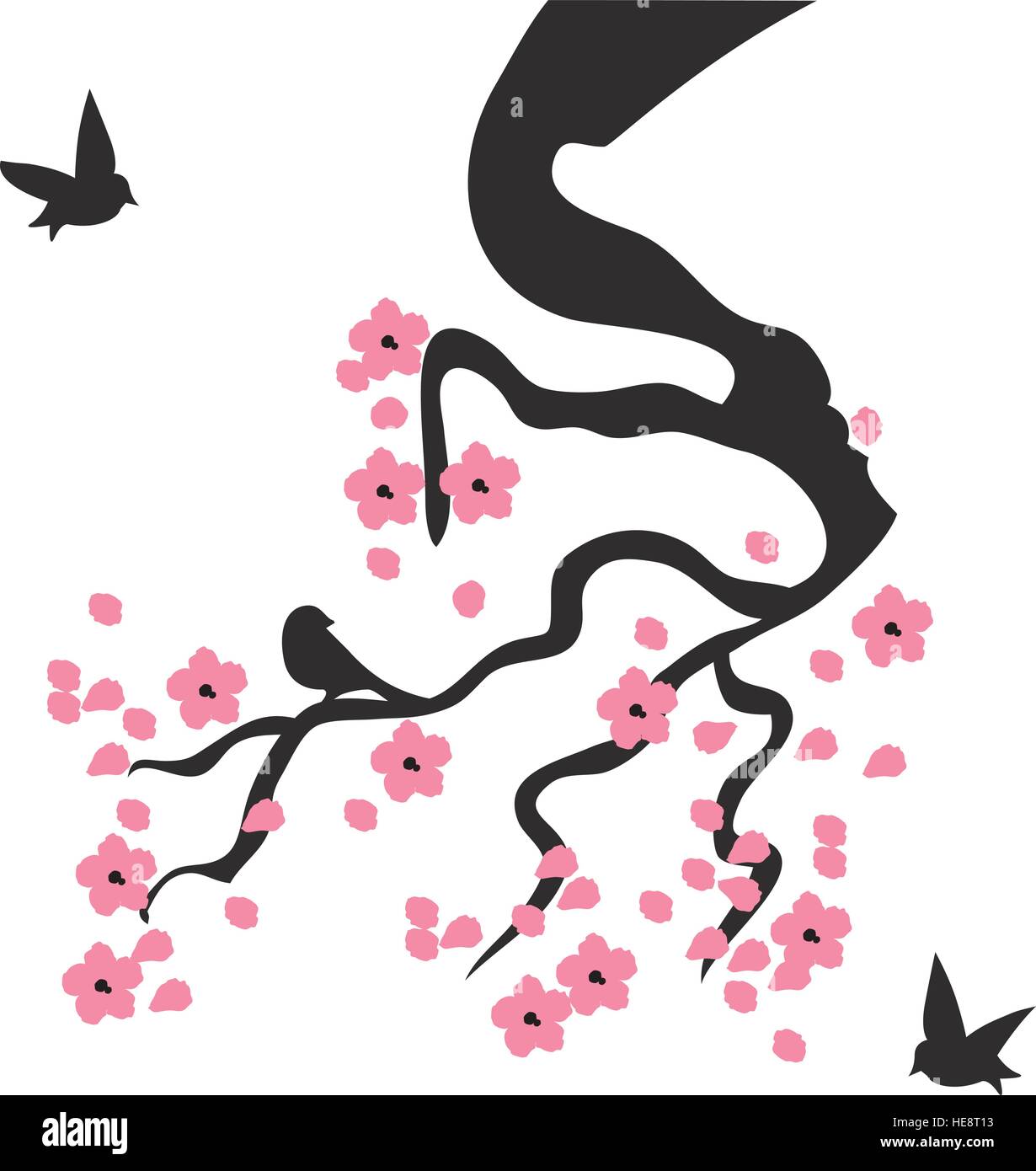 vector illustration of cherry blossom branch with birds Stock Vector Image & Art Alamy