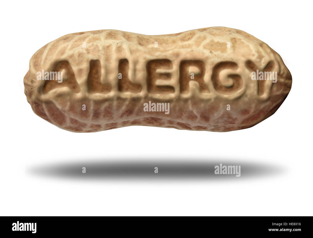 Peanut allergy concept and nut allergies medical symbol with text embossed in a shelled ingredient as an allergen warning with 3D illustration element Stock Photo