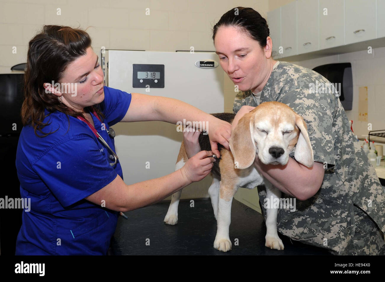 U.S. Army Sgt. Kimberly Wilcox, U.S. Army Public Health Command District - Fort Carson veterinary clinic noncommissioned officer in charge, holds Dozer, a Beagle, as Dr. Erin Hiskett, McConnell Veterinary Clinic veterinarian, administers a vaccine, March 9, 2015, at McConnell Air Force Base, Kan. The veterinary clinic provides services including annual exams, core vaccines and health certificates to the pets of anyone who is medically enrolled in the Defense Enrollment Eligibility Reporting System.  Airman 1st Class Tara Fadenrecht) Stock Photo