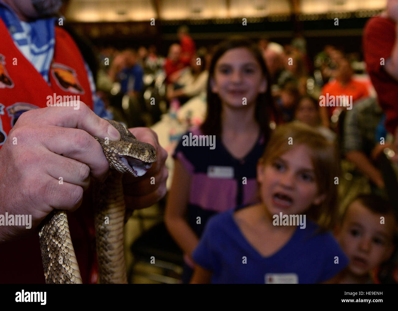 A group of children gather around a rattlesnake on display at a Committee of 100 Dinner inside the Altus High School auditorium, March 30, 2015. Fang Masters from Mangum subdued the snakes and posed for pictures to gain awareness for the 50th annual Rattlesnake Derby, as well as to educate newcomers to Altus on the area’s history with the snakes.  Airman 1st Class Megan E. Acs Stock Photo