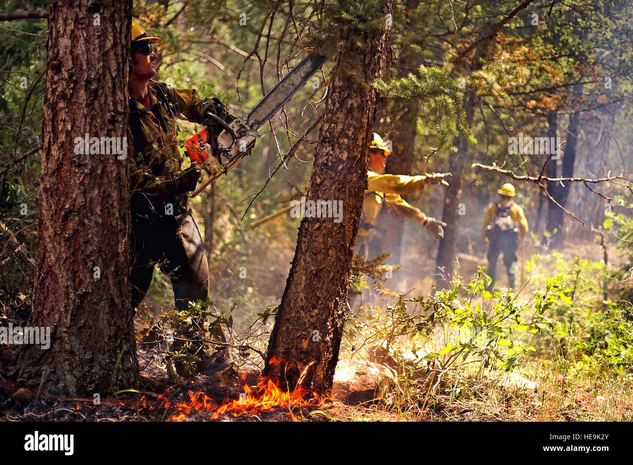 Vandenberg Air Force Base Hot Shot fire fighter Brad Mabery cuts a tree with his chainsaw while cutting and clearing a fire line on June 28, 2012 in the Mount Saint Francois area of Colorado Springs, Co. His team is helping to battle several fires in Waldo Canyon.  The Waldo Canyon fire has grown to 18,500 acres and burned over 300 homes. Currently, more than 90 firefighters from the Academy, along with assets from Air Force Space Command; F.E. Warren Air Force Base, Wyo.; Fort Carson, Colo.; and the local community continue to fight the Waldo Canyon fire.(: Master Sgt. Jeremy Lock) (Released) Stock Photo