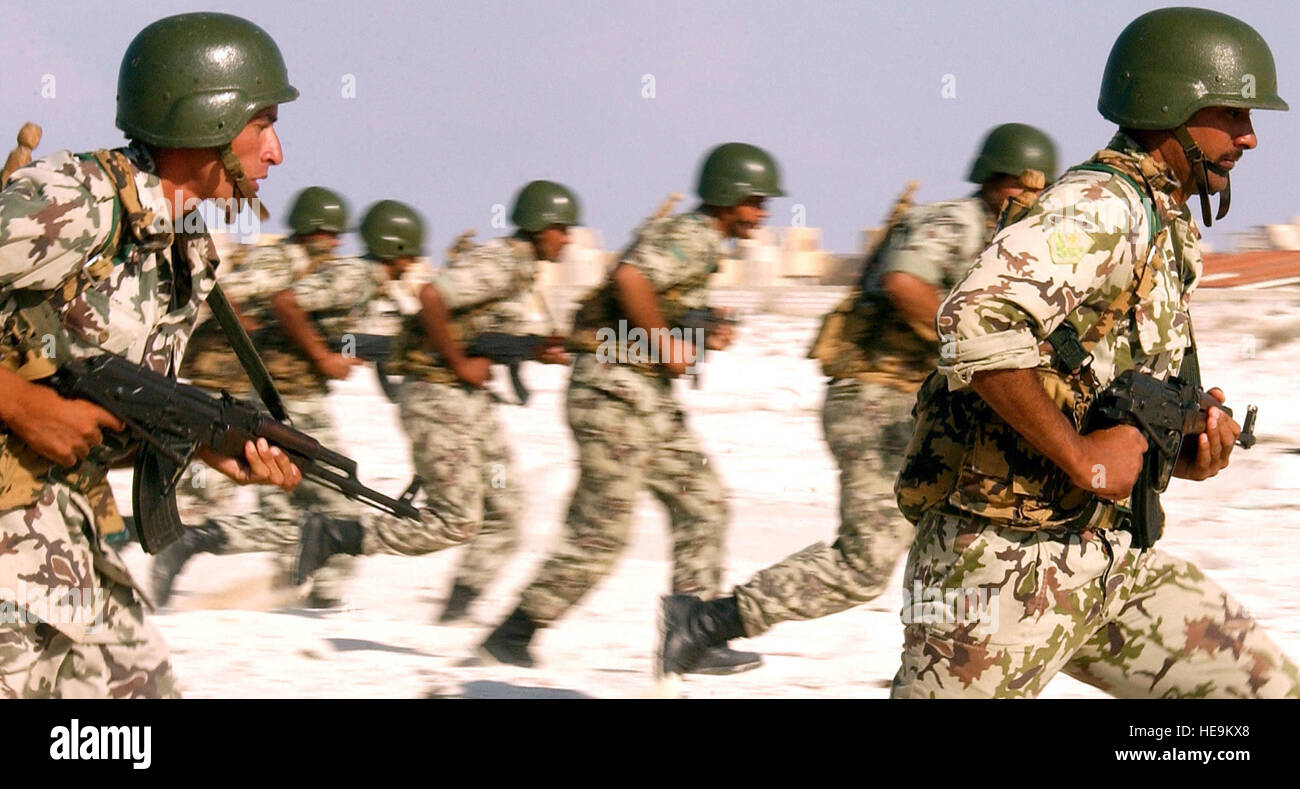 Diary of a Soldier in the Egyptian Military : A peek inside the Egyptian Army