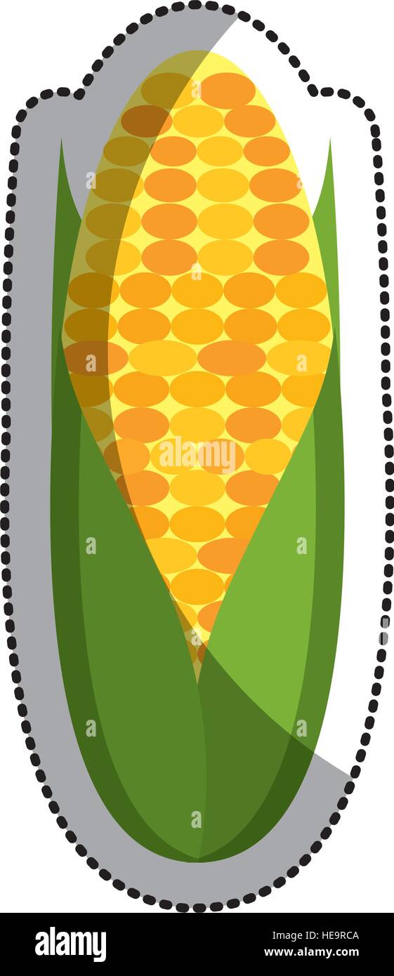 corn vegetable isolated icon vector illustration design Stock Vector ...