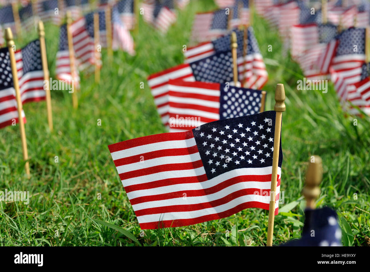 American flags are displayed during the National Flag Day ceremony June