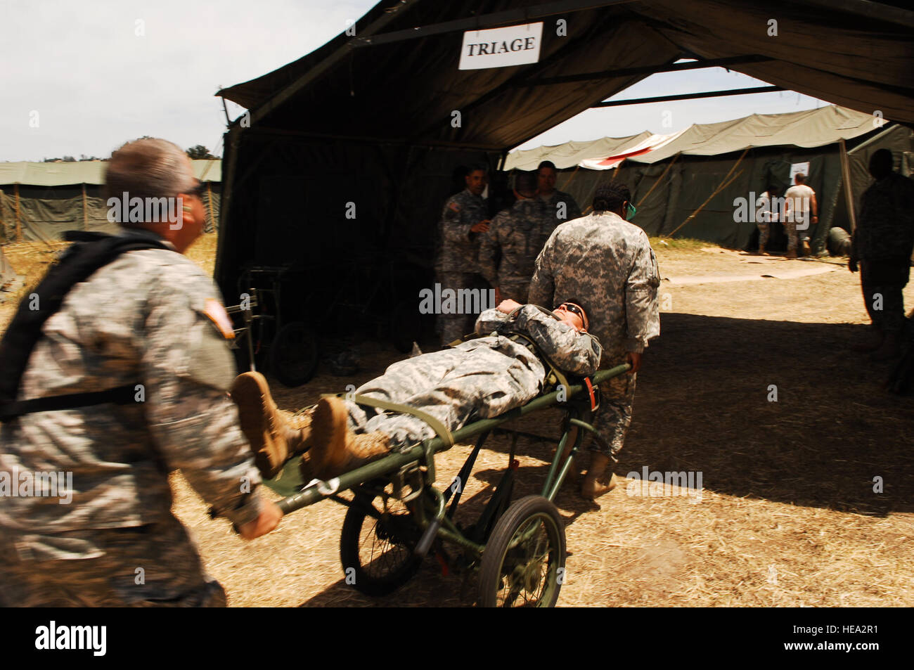 A U.S. Army medical  personnel assigned to the 48th Contingency Army Surgical Hospital, Fort Meade, Md., move a simulated casualty to a triage tent at Schoonover Field, Fort Hunter Liggett, Calif., May 22, 2011, in support of Global Medic 2011 and Warrior 91 11-01. Global Medic is a joint Reserve field training exercise for theater aeromedical evacuation system and ground medical components designed to replicate all aspects of combat medical service support.  Staff Sgt. Donald R. Allen Stock Photo