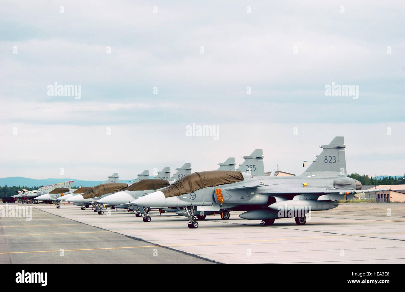 EIELSON AIR FORCE BASE, Alaska --  Multiple JAS 39 Gripen aircraft from the Swedish Air Force's Tango Red unit home based at Malmen Air Base, Sweden sit on the flightlilne here on 18 July during exercise Cooperative Cope Thunder 2006. The exercise is a Joint/Combined Air training exercise with the main purpose of providing 8-10 sorties per pilot, that are as real as combat within the constraints of the training environment. This exercise is run by 353rd Combat Training Squadron at Eielson AFB with DET 1, 353 CTS at Elmendorf AFB.  ( Staff Sgt Joshua Strang) Stock Photo