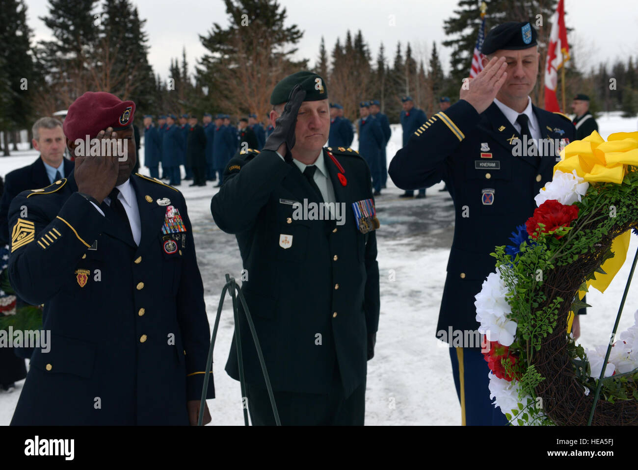 Veterans day celebrations in new york