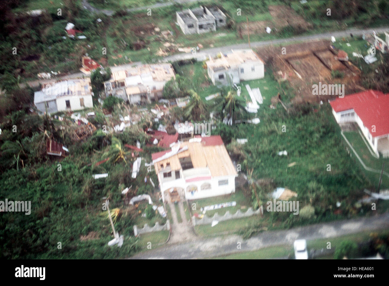 An aerial of some of the damaged buildings and uprooted trees left in