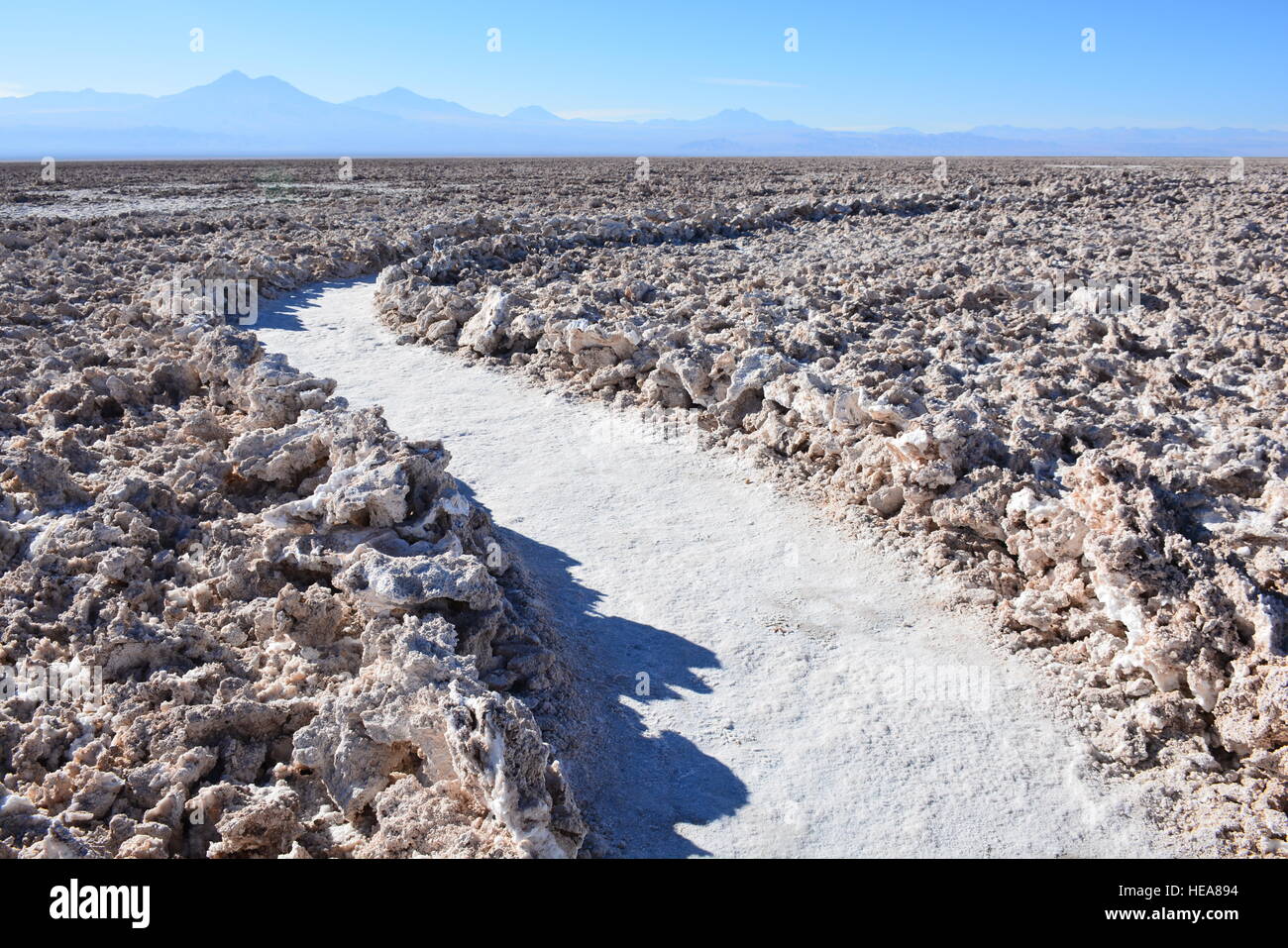 Salt flats lake in Atacama desert Chile Stock Photo