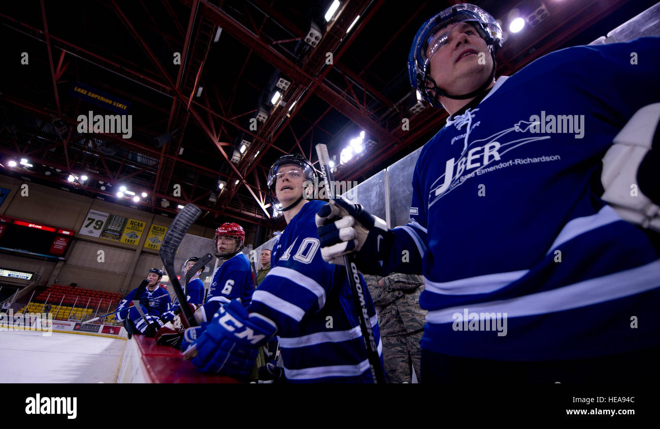 St. John's ECHL Bid Partners with Toronto Maple Leafs