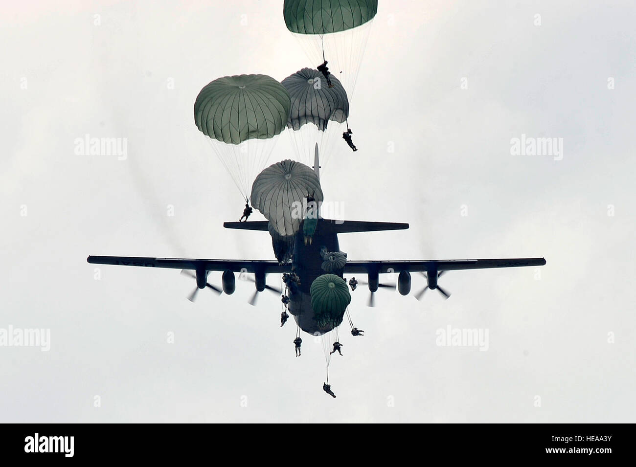 U.S. Air Force C-130 Hercules drops U.S. Army paratroopers of the 82nd Airborne Division onto Luzon drop zone during a training mission prior to Joint Operations Access Exercise 12-02 at Mackall Army Airfield, N.C., June 4, 2012. JOAX is a two-week forcible entry and ground combat exercise to prepare Air Force and Army service members to respond to worldwide crises and contingencies. Stock Photo