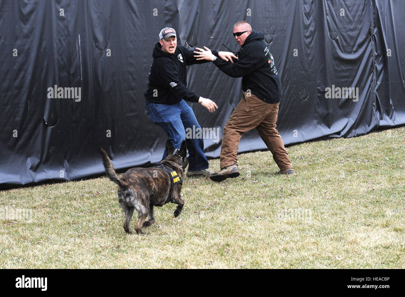 Security Forces handlers conduct muzzle aggression training with ...