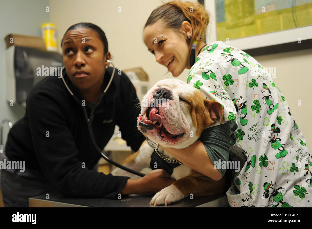 Veterinary technician hi-res stock photography and images - Alamy