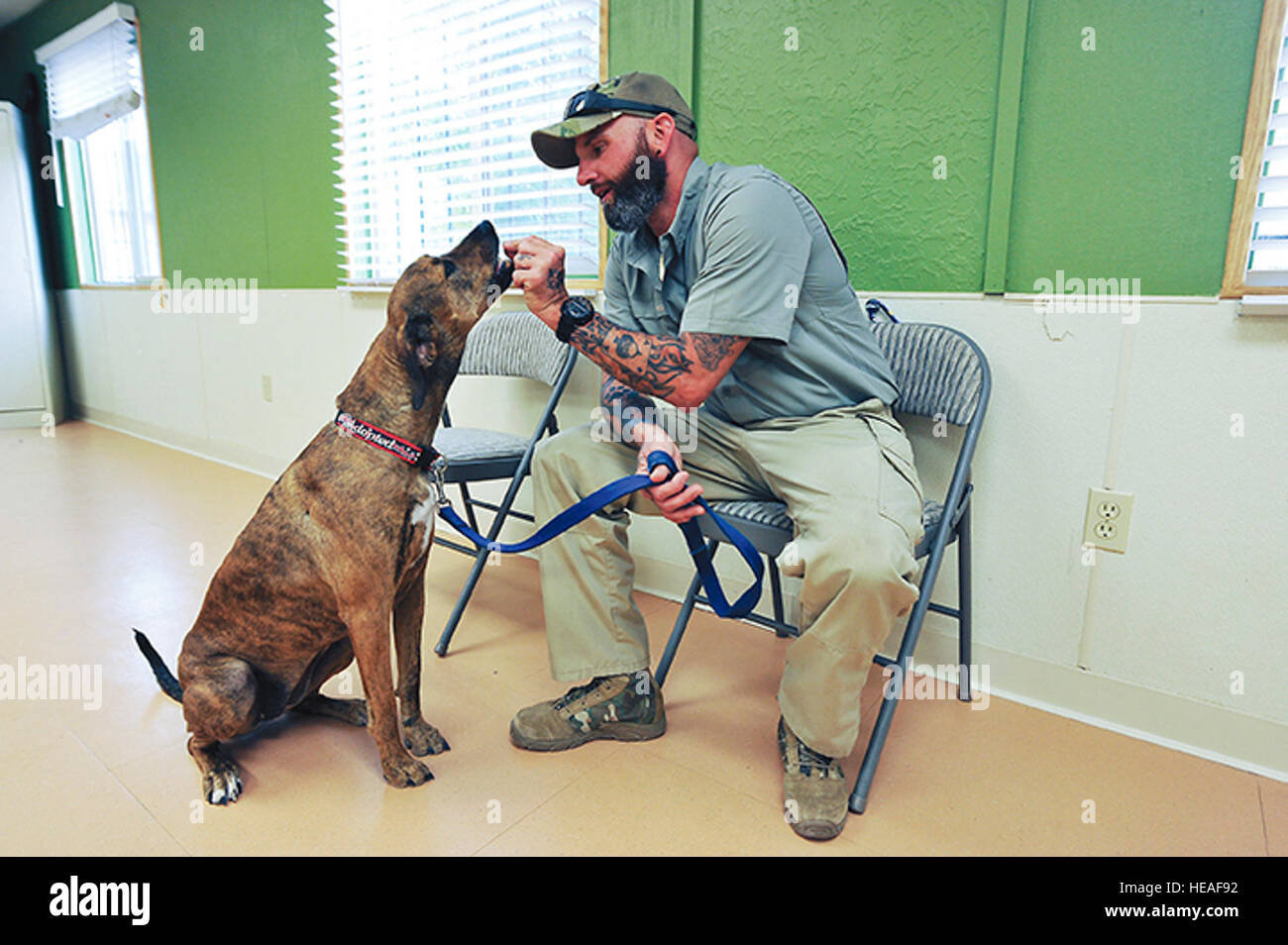Jim Stanek, co-founder of Paws and Stripes in Rio Rancho, gives a ...