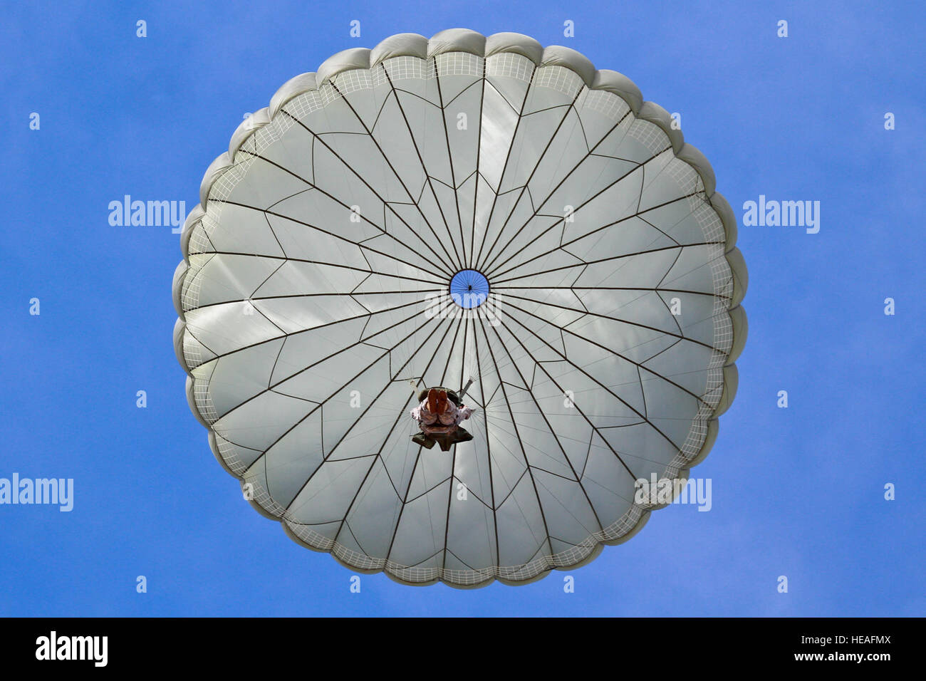 U.S. Army Reserve Maj. Russell Anderson floats down to the ground Oct. 24, 2014, after jumping from a C-130 Hercules over the Coyle Drop Zone, N.J. The C-130 is assigned to the Delaware Air National Guard's 166th Airlift Wing. Anderson is from the 404th Civil Affairs Battalion (Airborne). (U.S. Air National Guard photo/Tech. Sgt. Matt Hecht) Stock Photo