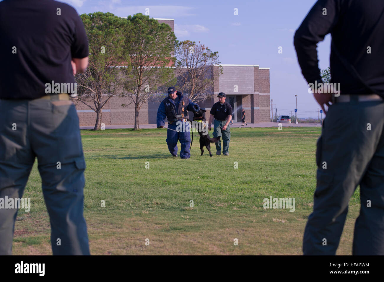 Jacob Allers, Doña Ana County Sheriff's Department K-9 handler ...
