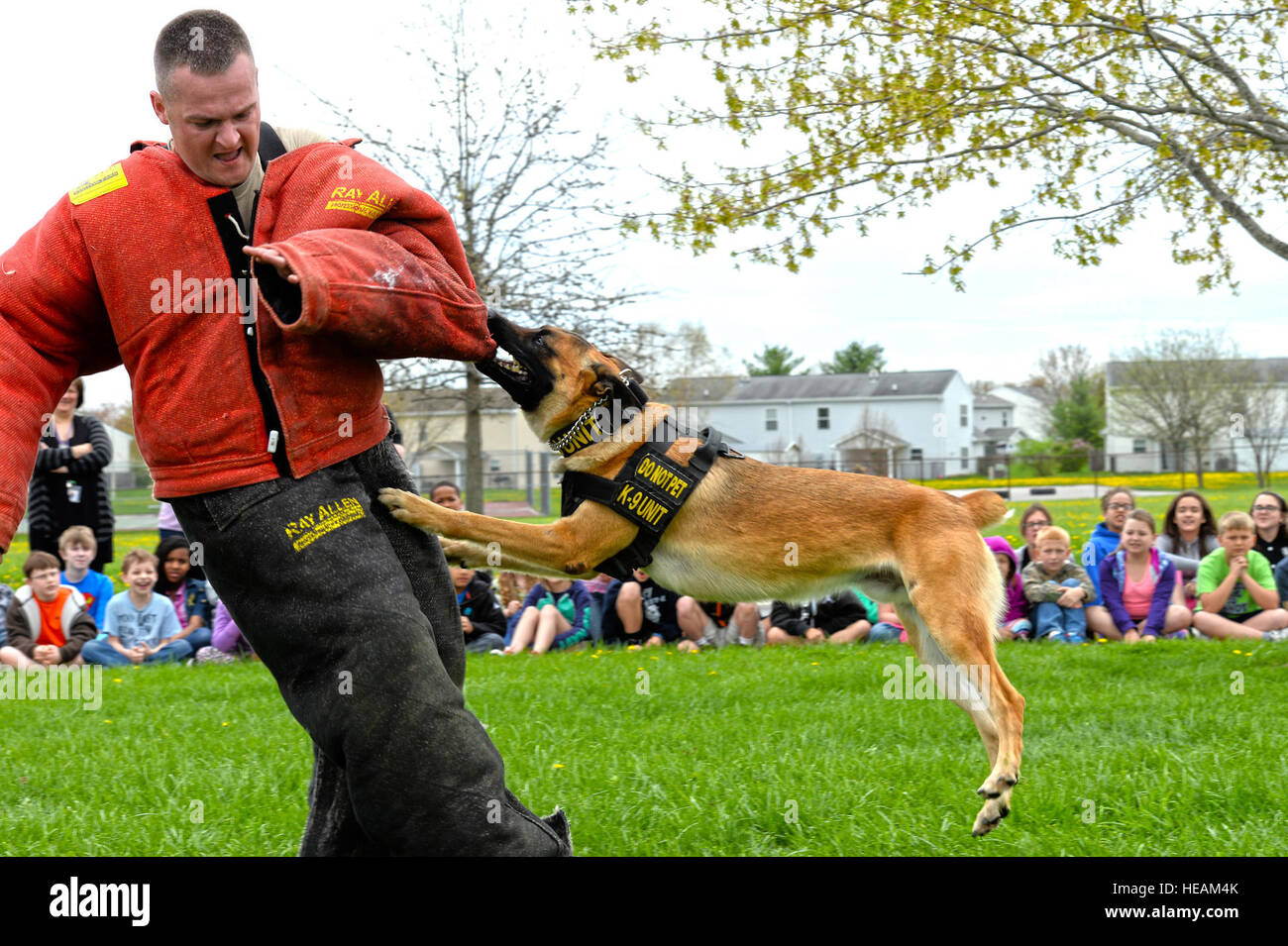 Staff Sgt. William Watson, 375th Security Forces Squadron military working dog handler, wears a bite suit during a demonstration for the Month of the Military Child April 14, 2015, at Scott Air Force Base, Ill. The demonstration helped with public relations between K-9s and their handlers while showing kids what the K-9's are trained to do. Senior Airman Tristin English) Stock Photo