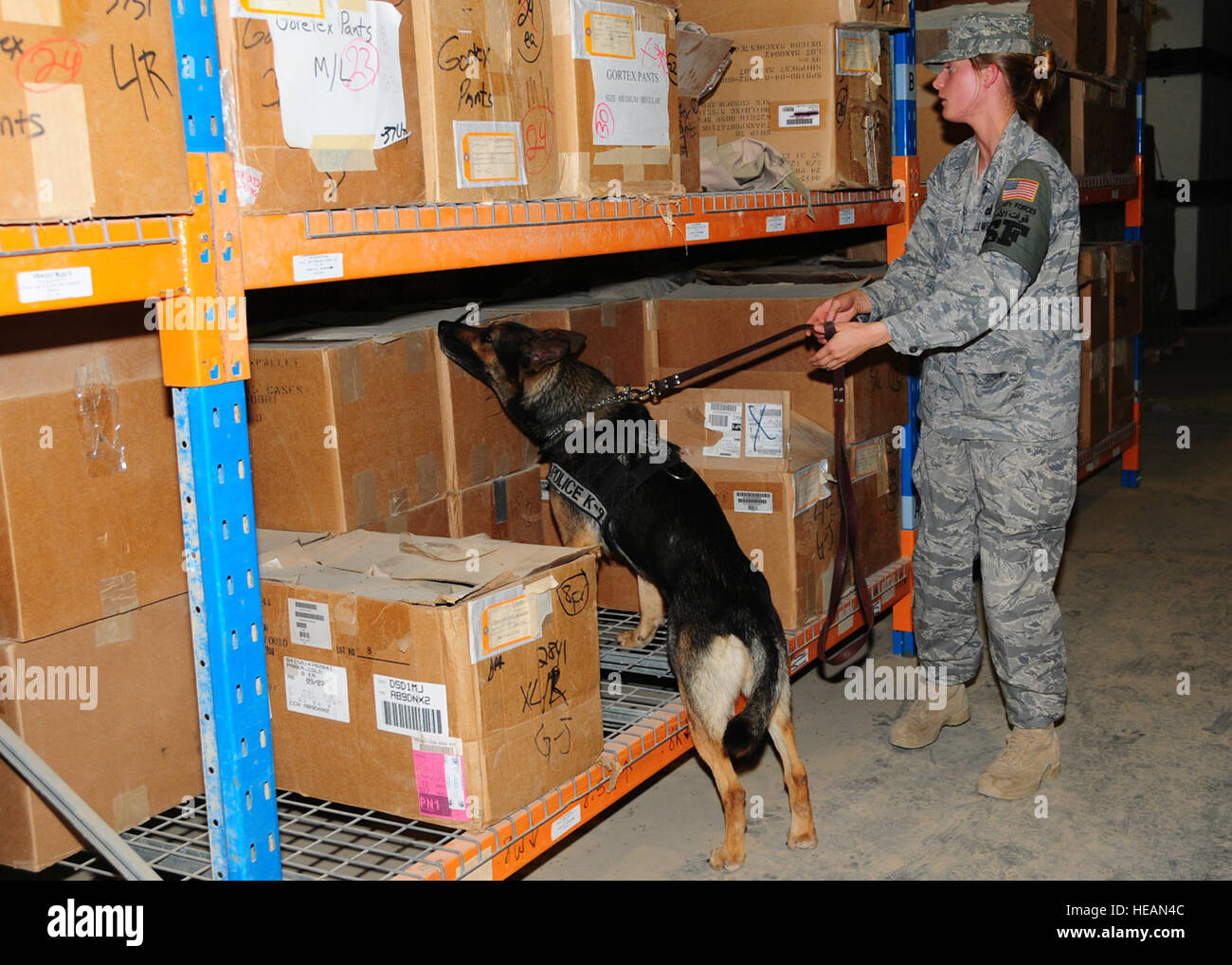 A Military Working Dog and handler conduct a timed warehouse search for ...