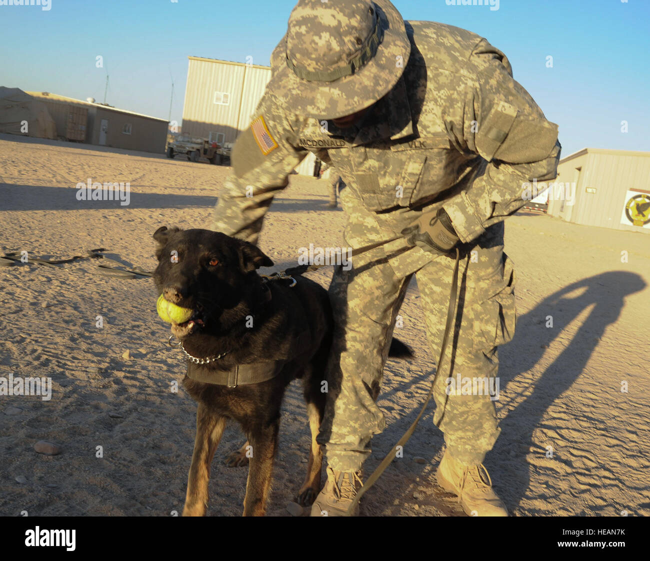 Vohne liche kennels hires stock photography and images Alamy
