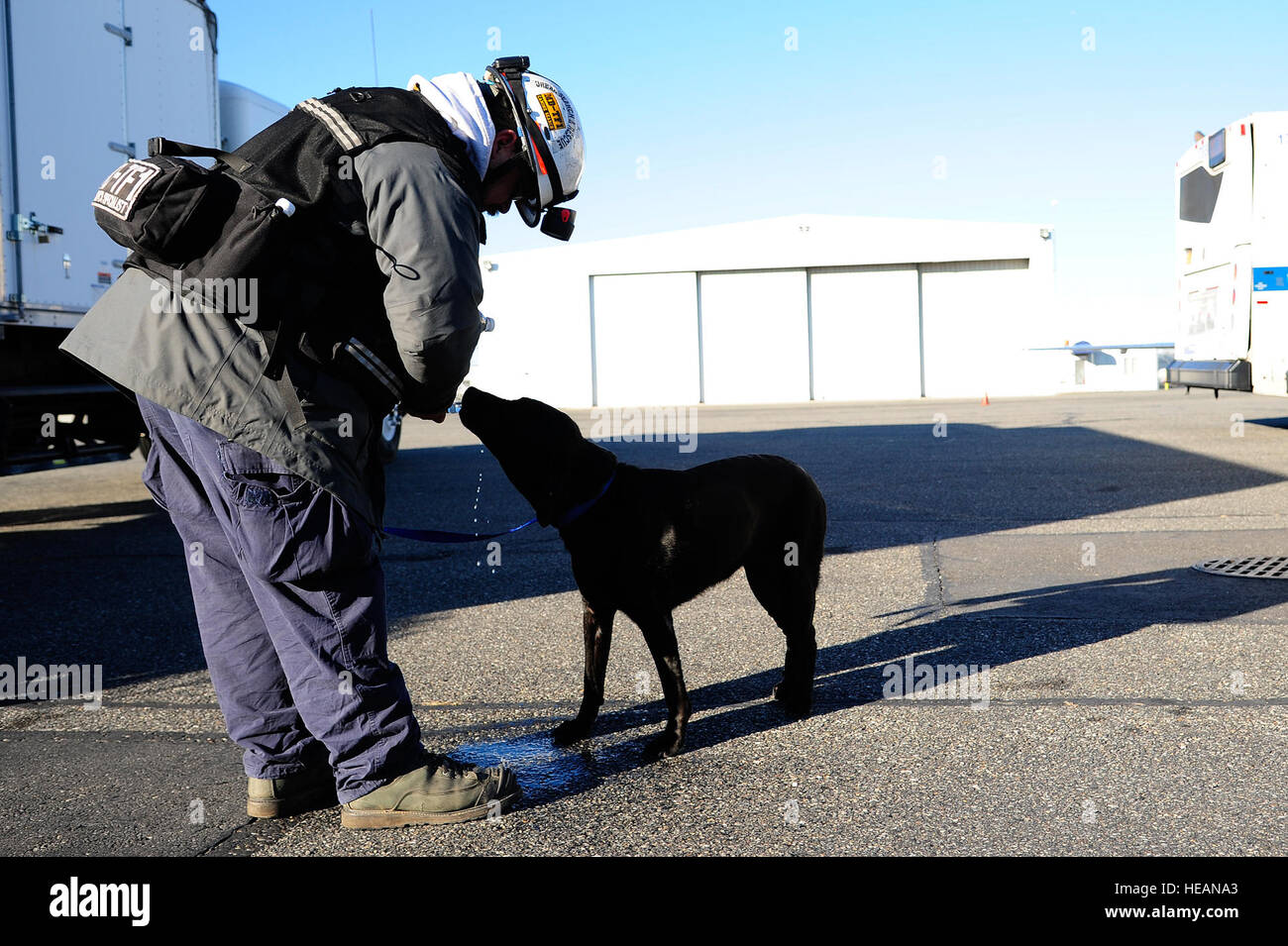 Live search dog Gardez gets a drink of water from his handler Brent Frain, at an airport in Nassau County, N.Y., prior to heading out to conduct house-to-house searches, Nov. 4, 2012.  Frain and Gardez are members of the Maryland Task Force One urban search and rescue team and are currently based at Joint Base McGuire-Dix-Lakehurst, N.J.  Tech. Sgt. Parker Gyokeres/Released Stock Photo