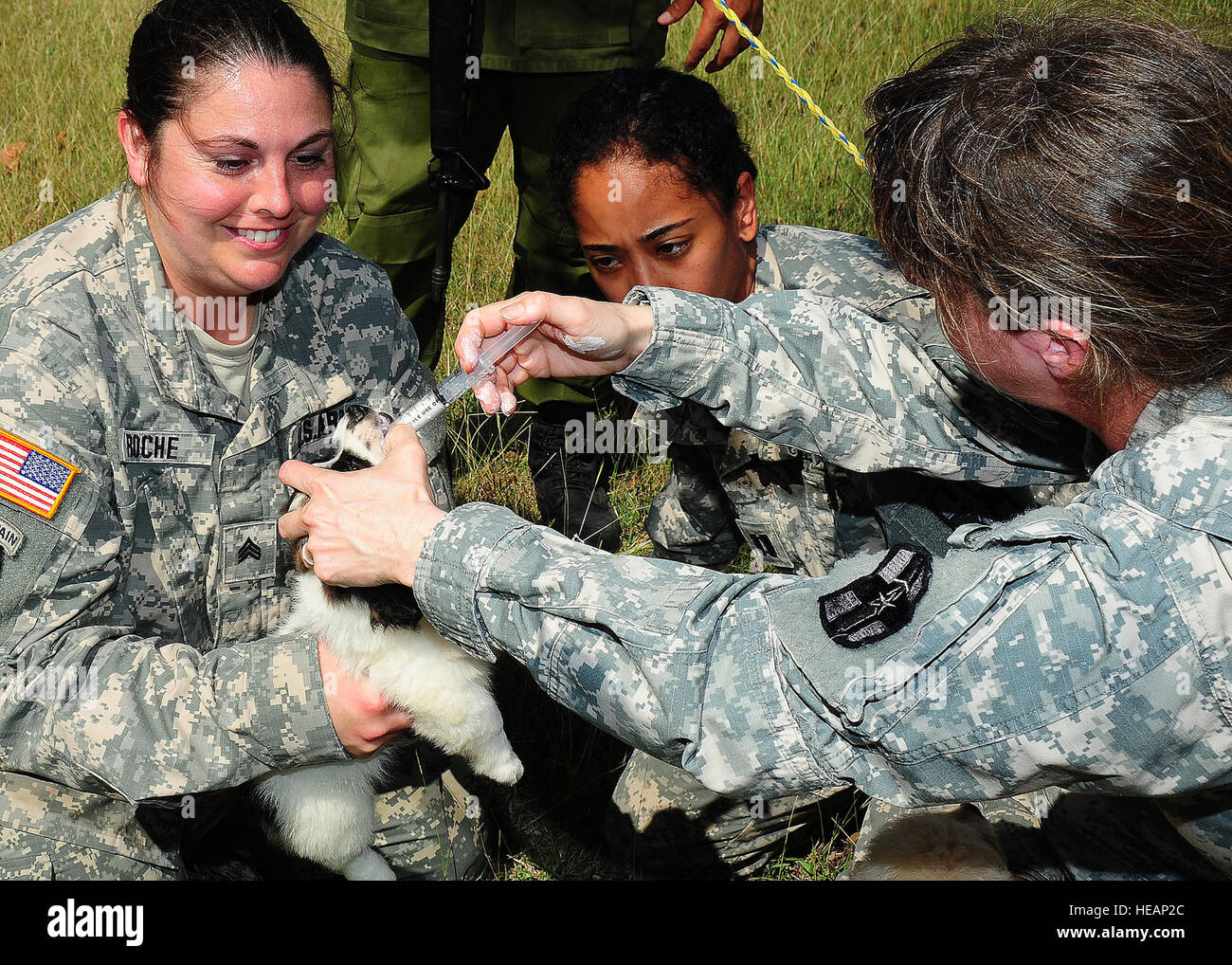 U.S. Army Sgt. Carly Roche, (left) veterinary technician from the 719th Medical Detachment Veterinary Services, Fort Sheridan, Ill., holds a puppy while U.S. Army Maj. Erica Mcnaul, veterinarian from the 719th Medical Detachment Veterinary Services, Fort Sheridan, Ill., provides de-wormer at Orange Walk, Belize April 17, 2013.  Medical professionals from the U.S. are providing free veterinary treatment at multiple veterinary readiness training exercises throughout Belize as part of an exercise known as New Horizons. The VETRETES are designed to provide vaccinations to animals in several commun Stock Photo
