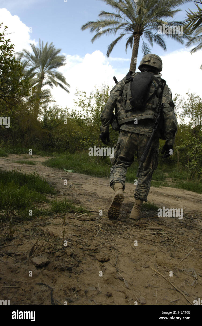 U.S. Army Sgt. Mark Corona, Charlie Company 1st Battalion, 12th Cavalry, Fort Hood, Texas, searches a palm grove for Improvised Explosive Devices (IED) during Operation Austin in Arab Jabbar, Iraq Mar. 16, 2007. Operation Austin is a mission to cordon and search a town to find weapons and insurgents. (U.S. Army photos by Staff Sgt. JoAnn S. Makinano) (Released) Stock Photo