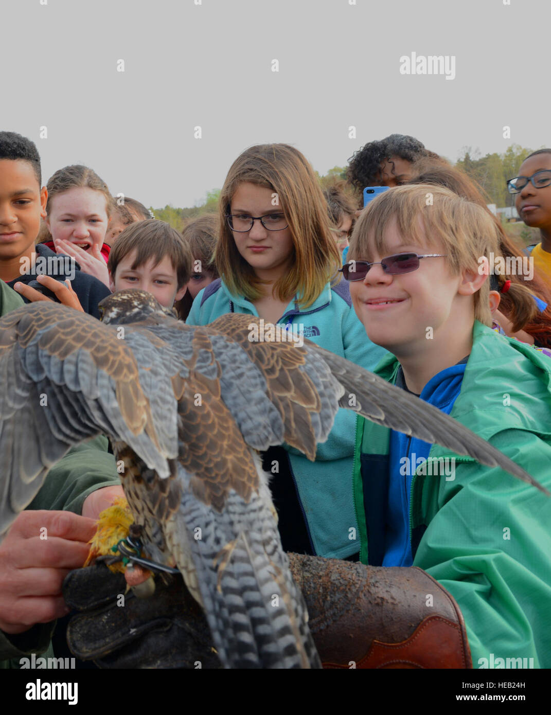 Gerhard Wagner, 86th Airlift Wing safety office falconer, assists a sixth-grade student from Ramstein Middle School with putting on a leather glove to hold and feed a peregrine falcon as a part of the Falconer Show presented for Earth Day, April 16, 2015, at Ramstein Air Base, Germany. The show demonstrated to the students how the falcons dive to catch their prey and explained how they are used in this way to prevent other birds from interfering with planes that are taking off or landing on the flightline.  Airman 1st Class Tryphena Mayhugh) Stock Photo