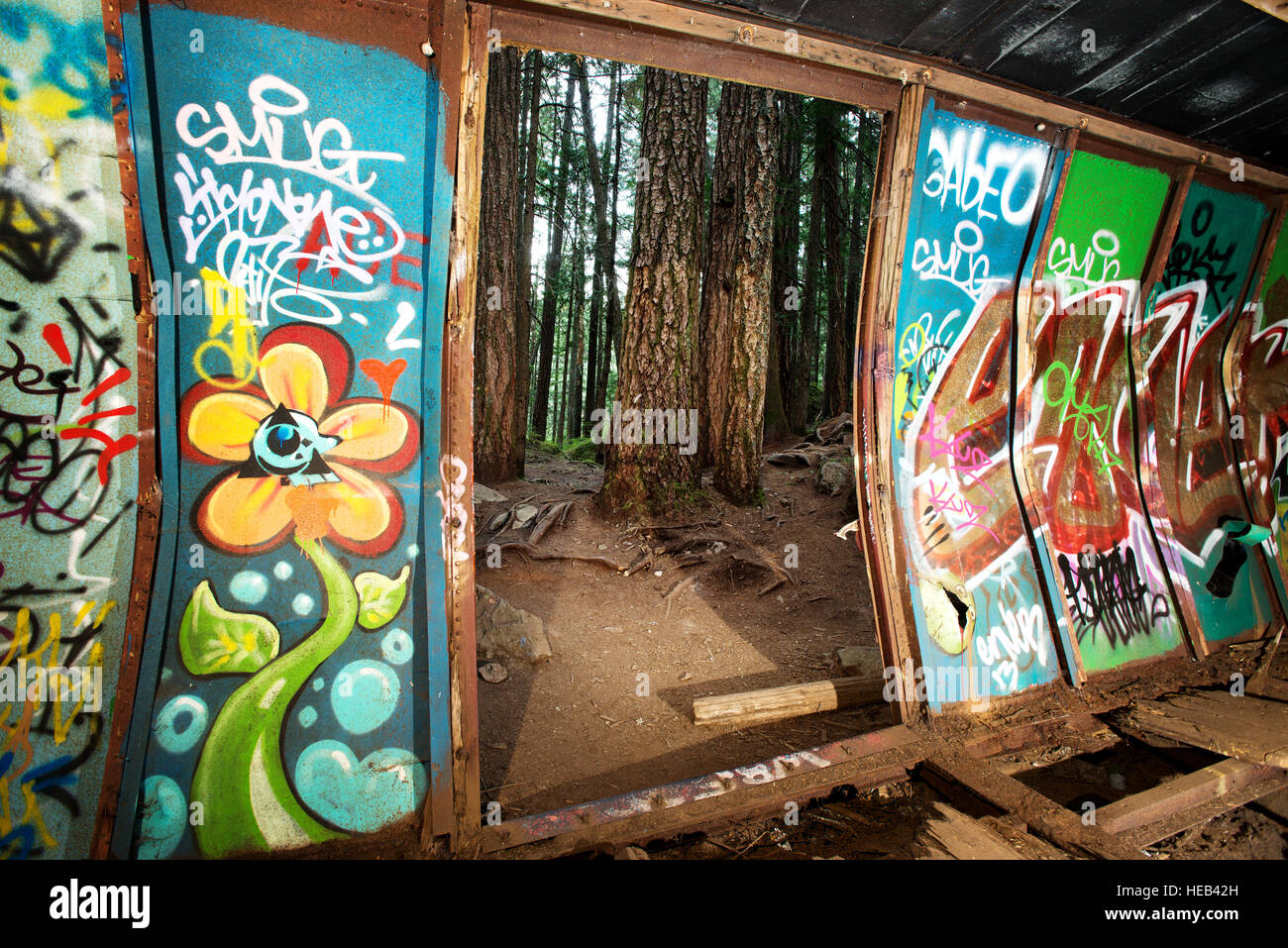 The Train Wreck trail. The wrecked box cars left over from a 1950's PGE