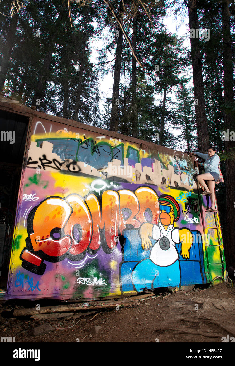 The Train Wreck trail. The wrecked box cars left over from a 1950's PGE