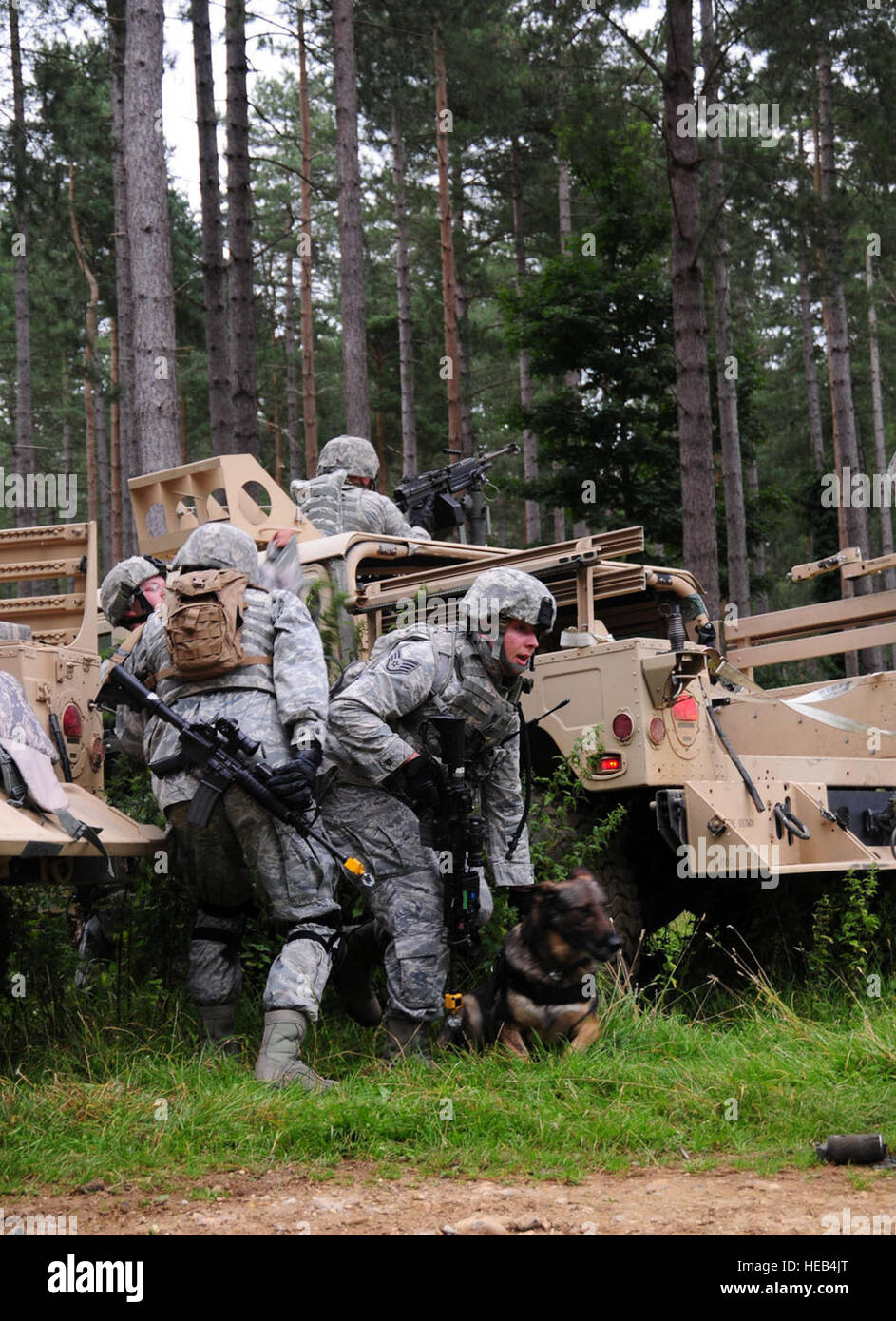 Members from the 100th Security Forces Squadron, including Military Working Dog Zulton, scramble to help wounded members of their team after they are ambushed during a training exercise at Stanford Training Area, Thetford, Sept. 4, 2012. The RAF Mildenhall members worked alongside Royal Air Force members from 15 Squadron, RAF Honington; No. 2 Tactical Police Squadron, RAF Henlow; and No. 7 Force Protection Wing Headquarters, RAF Coningsby, during a mission rehearsal exercise lasting several days. Forty 100th SFS members and two military working dogs played the role of the U.S. Marine Corps, he Stock Photo