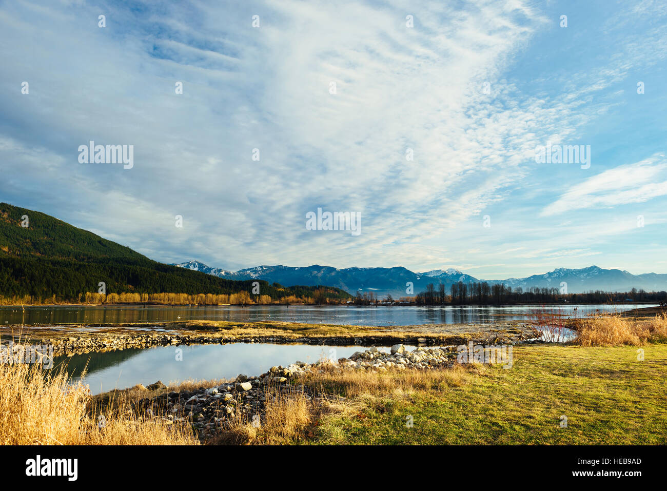 The Chehalis Flats Bald Eagle & Salmon Preserve in Harrison Mills
