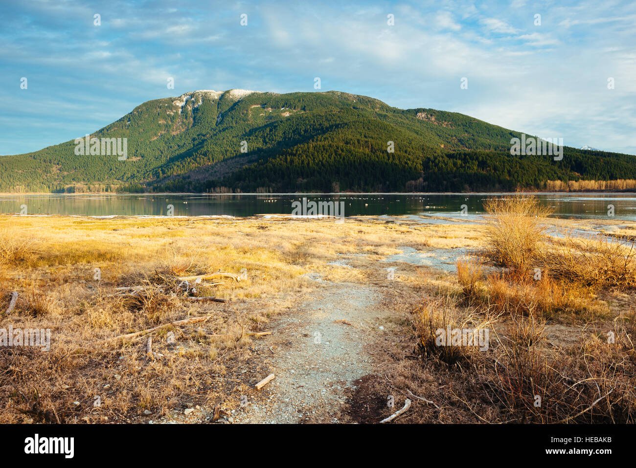 The Chehalis Flats Bald Eagle & Salmon Preserve in Harrison Mills