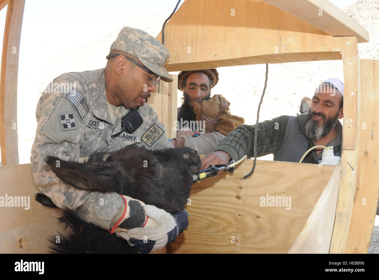 A local Afghan veterinarian works with U.S. Army Staff Sgt. John Carter