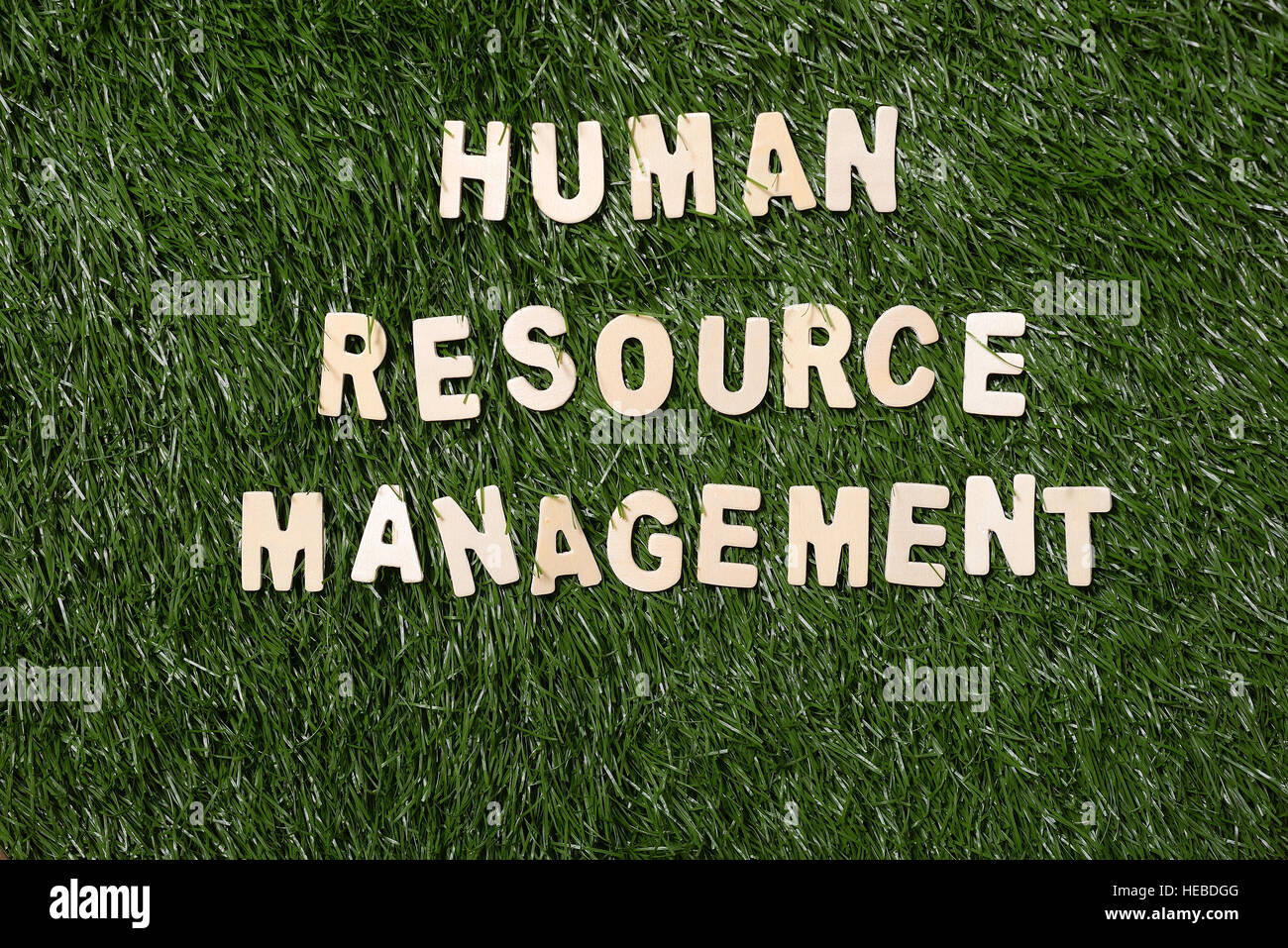 Human resource management wooden sign  on green grass background Stock Photo
