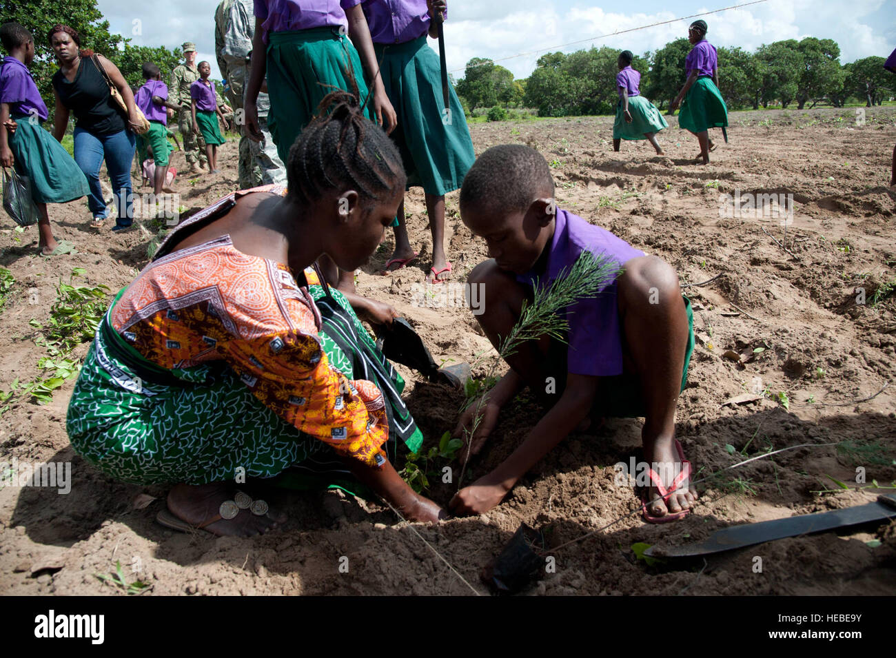 A Kenyan woman and boy dig a hole to plant a Casuarina tree at the Mjanaheri Primary School June 5. U.S. Navy Maritime Civil Affairs Team 112, Combined Joint Task Force - Horn of Africa, and other organizations planted nearly 600 Casuarina tree seedlings at the school in celebration of World Environment Day. Stock Photo