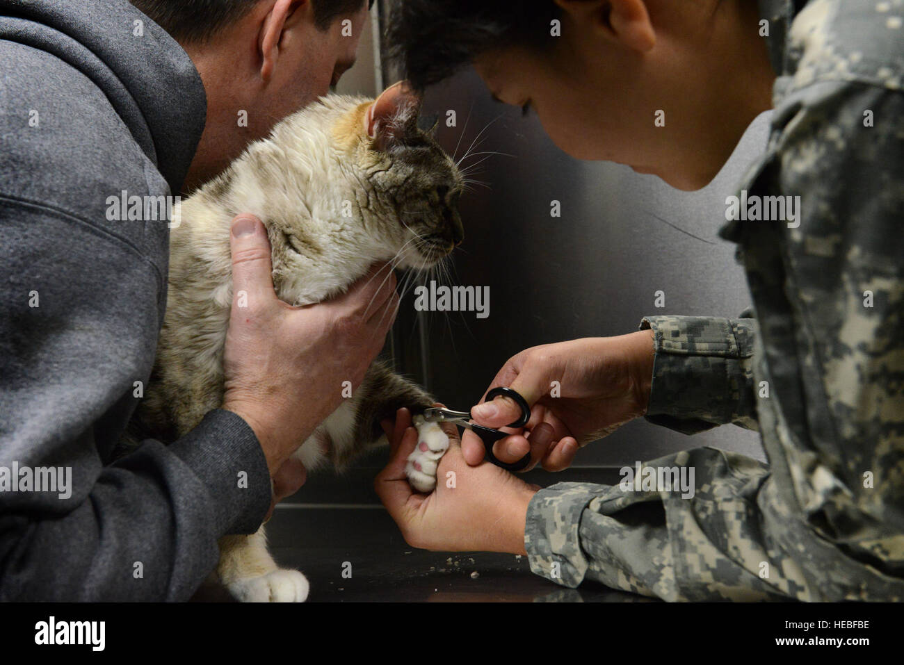 U.S. Army Pfc. Brigette Sarria, Fort Jackson Veterinary Treatment