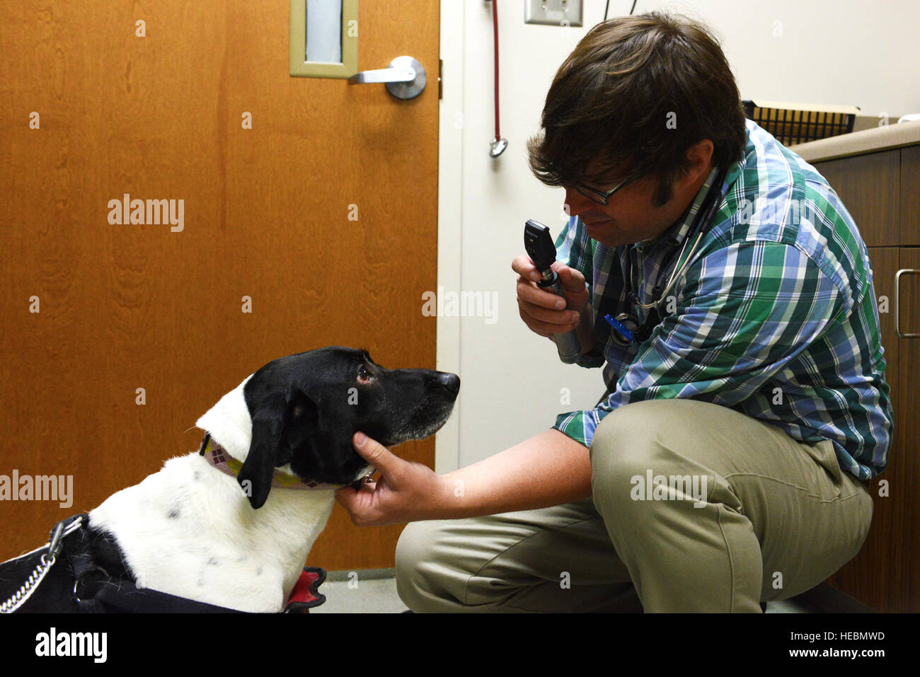 Leeland Raymond, Public Health Command veterinarian, checks a dog’s eyes at Shaw Air Force Base